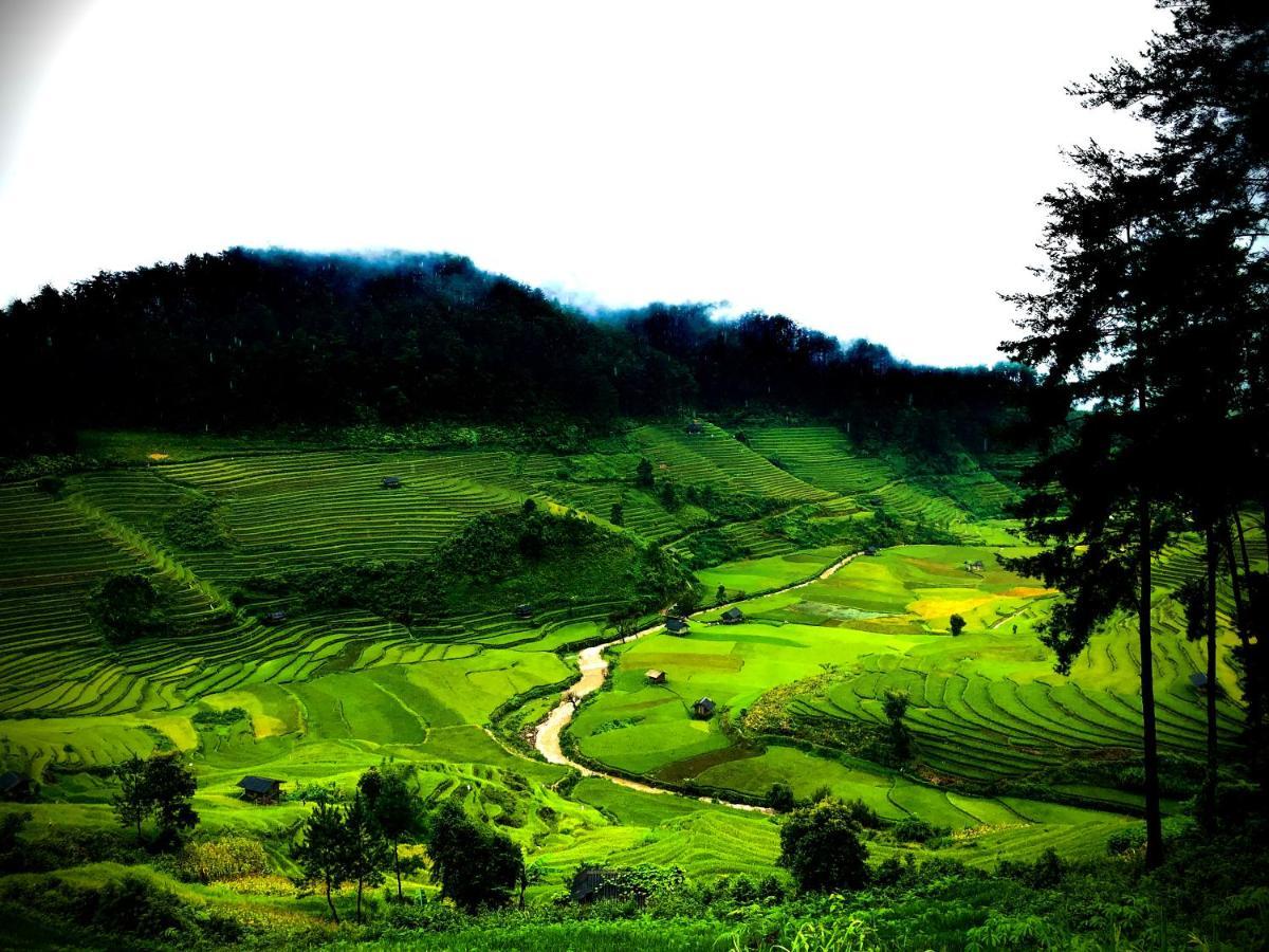 Mu Cang Chai Do Gu Homestay מראה חיצוני תמונה