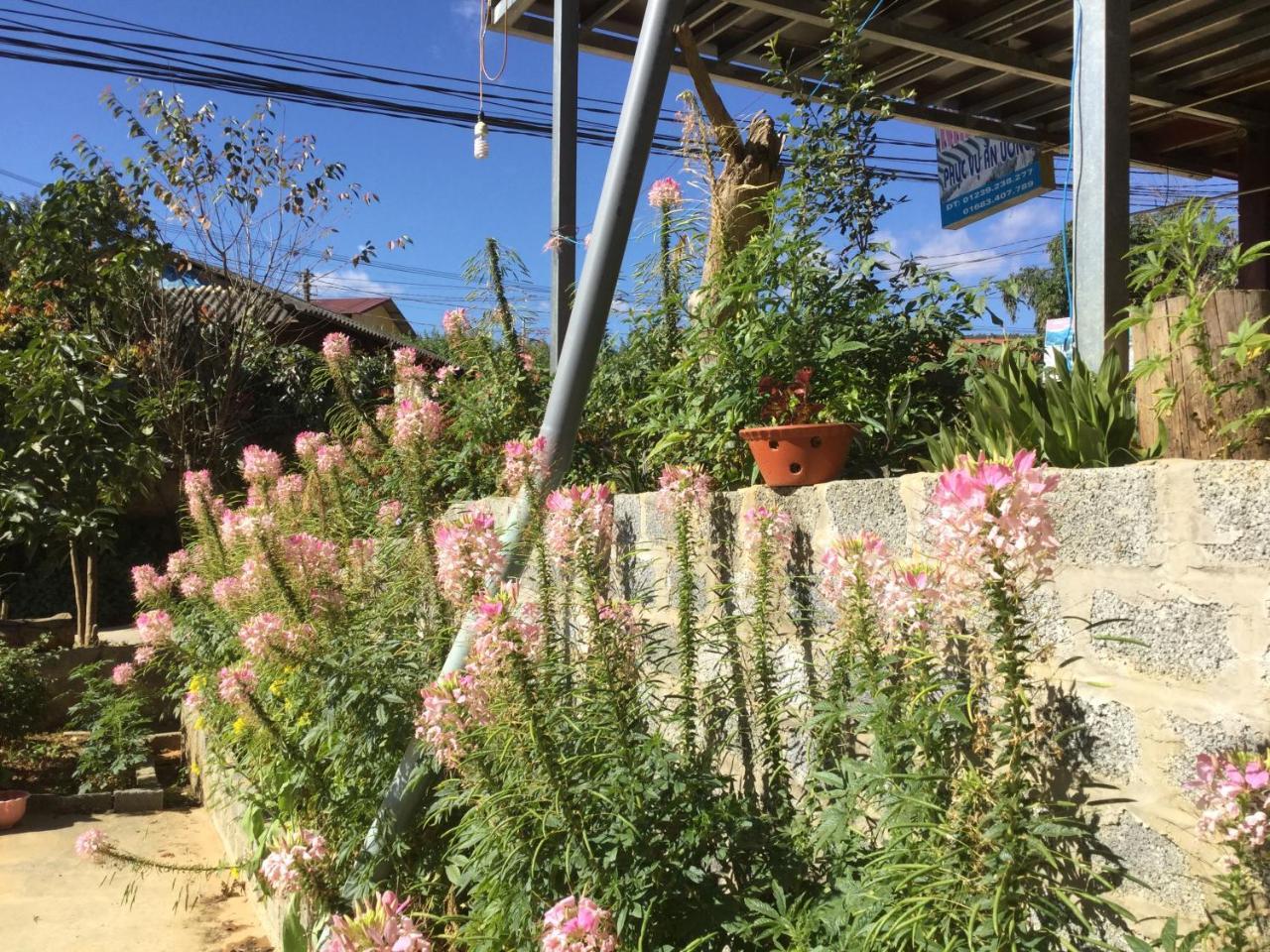 Mu Cang Chai Do Gu Homestay מראה חיצוני תמונה
