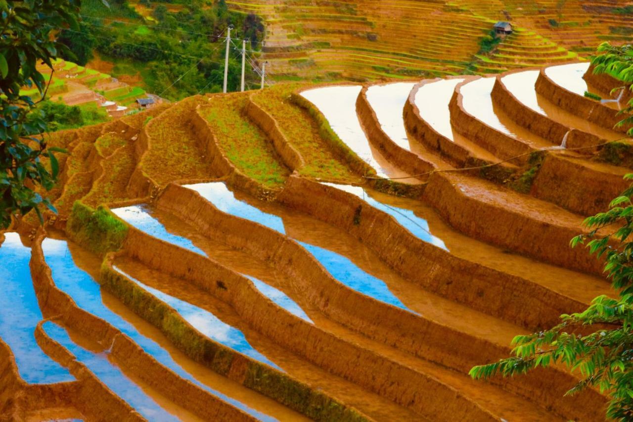 Mu Cang Chai Do Gu Homestay מראה חיצוני תמונה